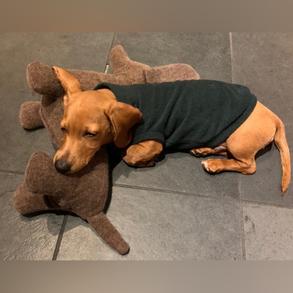 🐾2/$25 or 3/$30🐾 Fleece Puppy Sweater size S